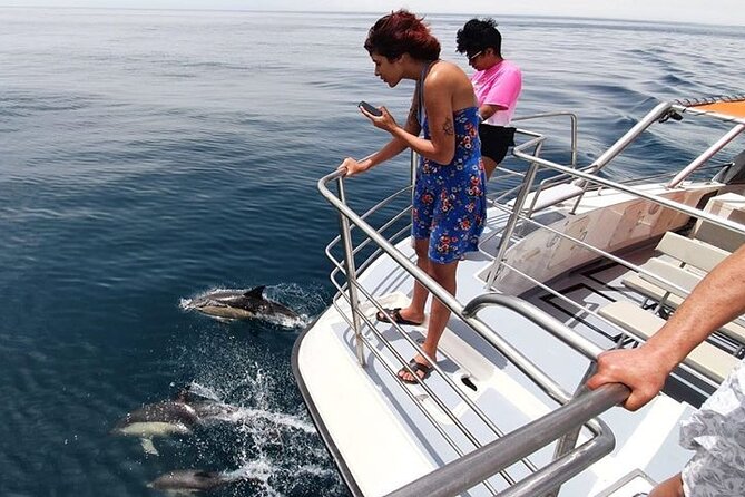tourists on a boat observing dolphins swimming in the clear blue waters of Mauritius