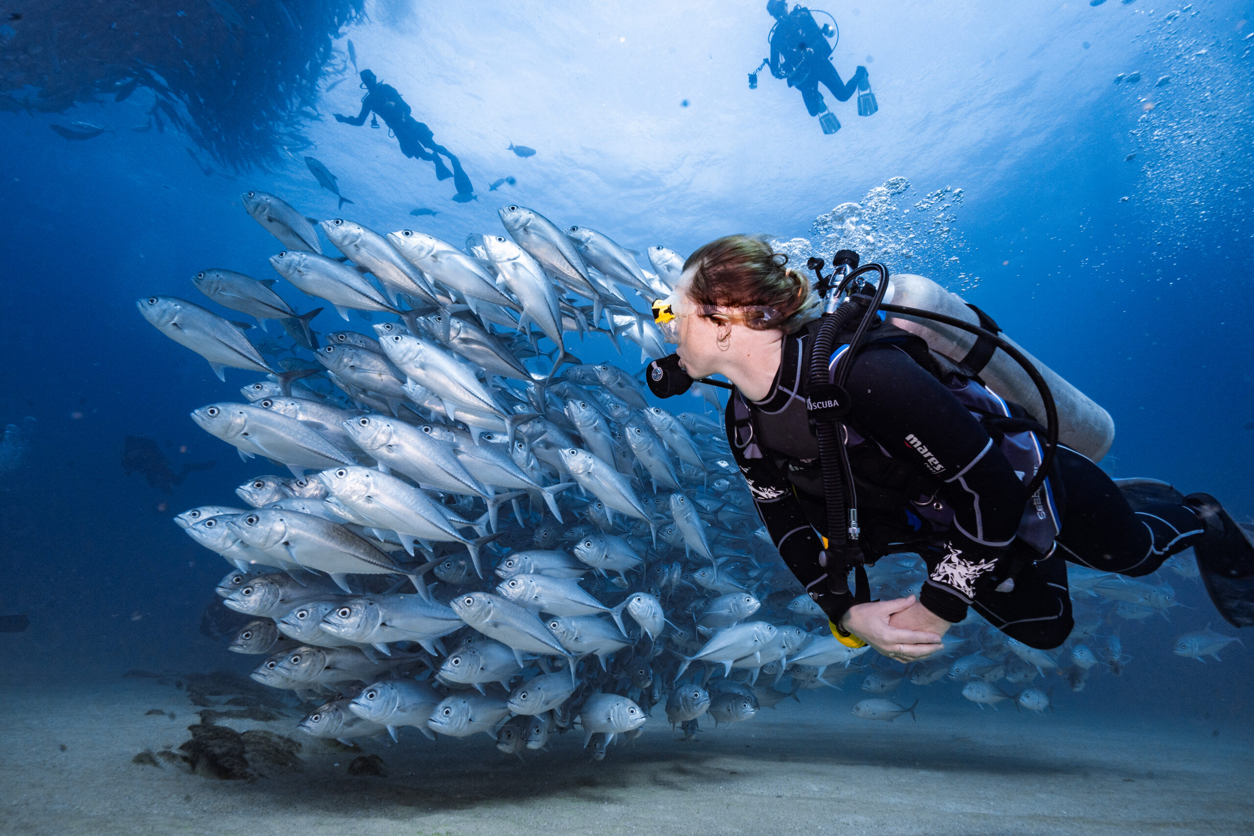 A person scuba diving amidst a school of fish in the ocean in Mexico.