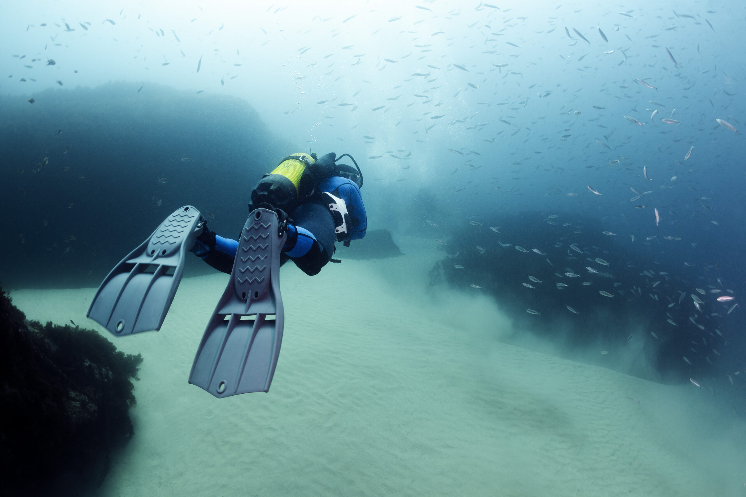 Scuba diver exploring sea bottom in Mauritius