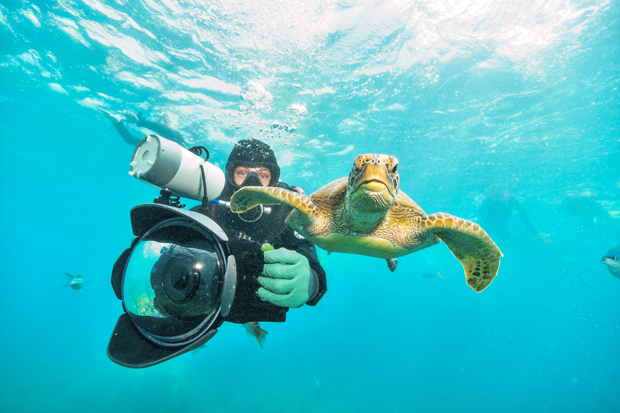under water photographer diving righ next to turtle