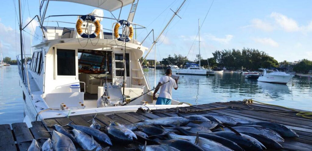 A boat loaded with fresh fish after a full-day fishing tour from Black River