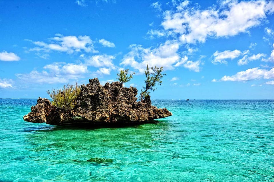Stunning view of Crystal Rock in Mauritius on the Dolphin Cruise with Exotic Vacances