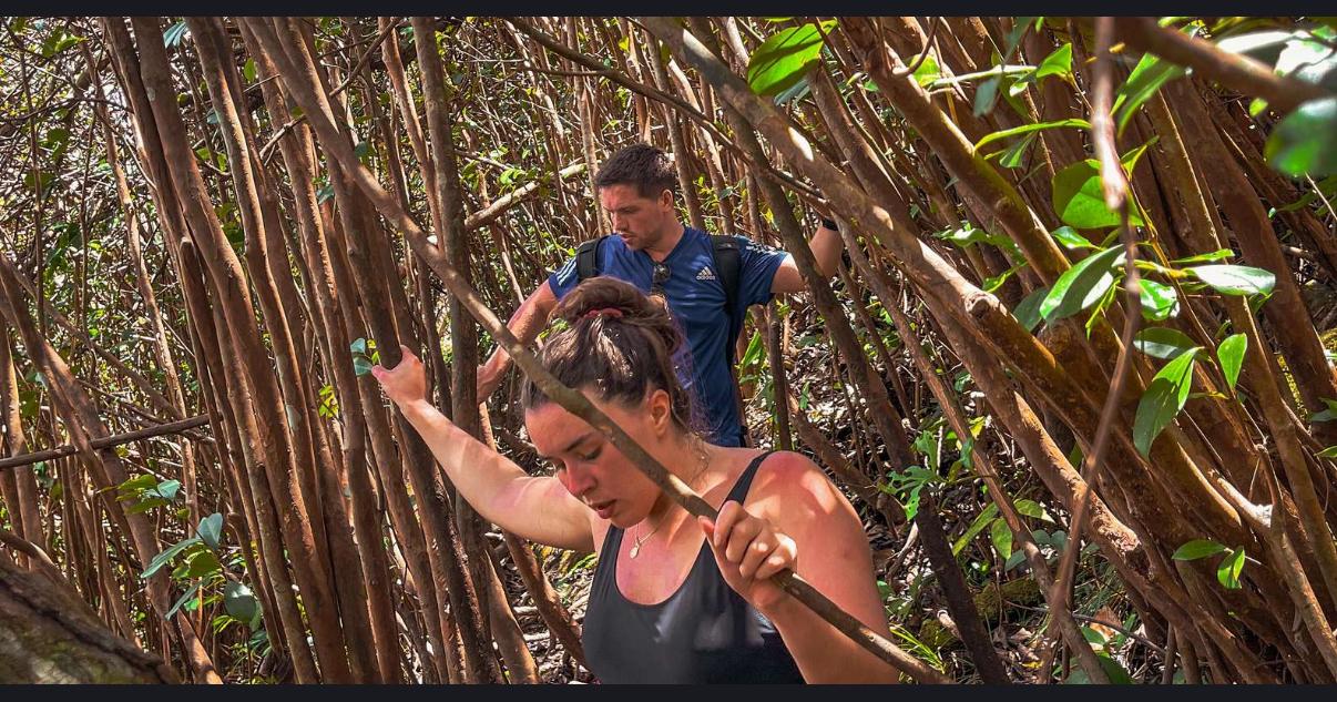 Couple trekking through forest during a Tamarind Falls excursion