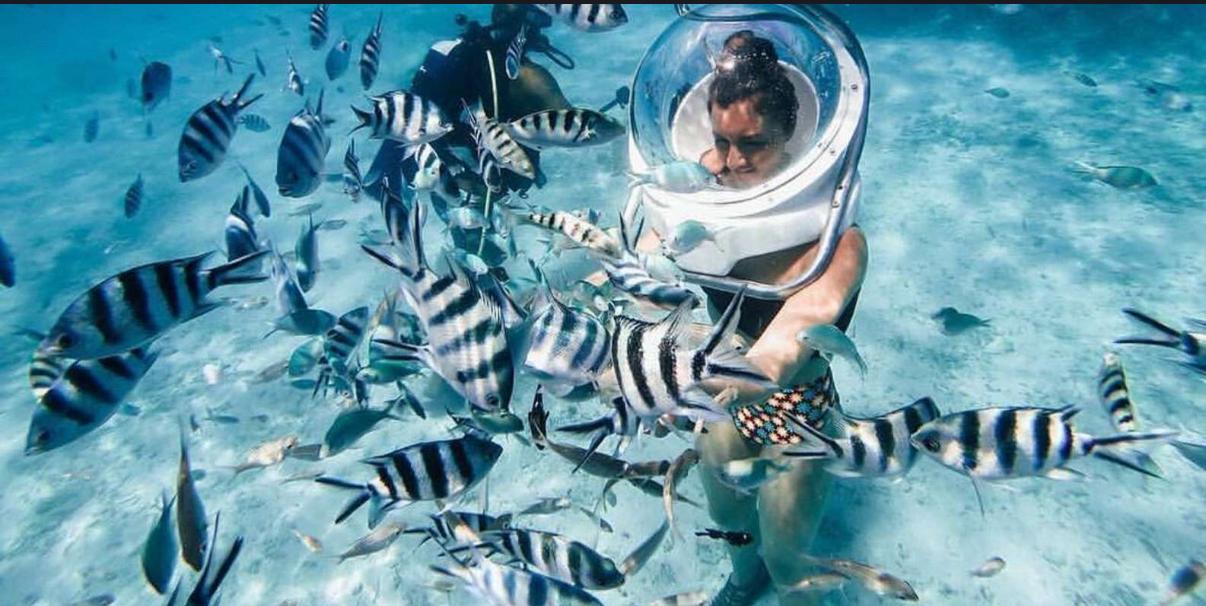Tourist walking underwater with stingray and colorful fish in Mauritius