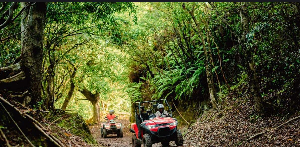 Quad bikes exploring lush green forest trail in Mauritius