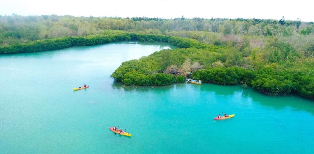 Aerial view of kayaks paddling near Ambre Island in Mauritius