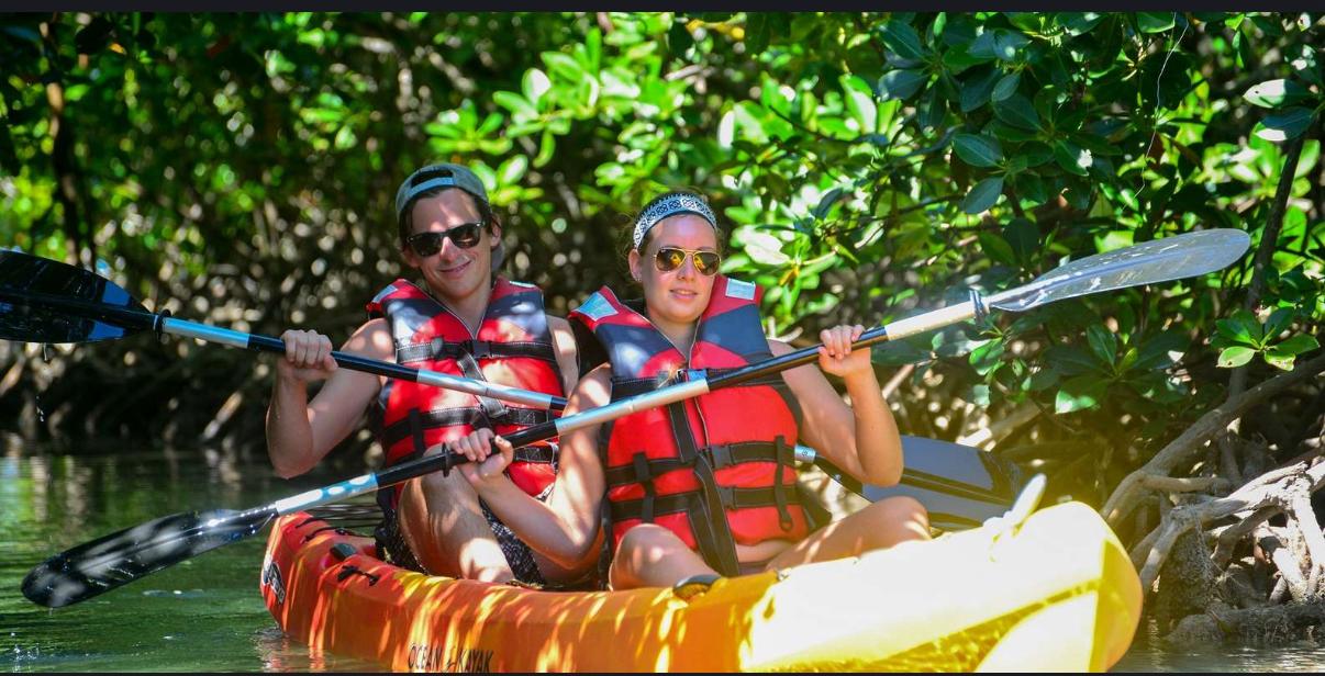 Tourists kayaking through lush mangroves near Ambre Island