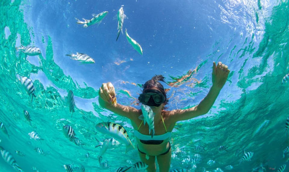 Tourist snorkeling underwater with tropical fish around, Île aux Cerfs, Mauritius