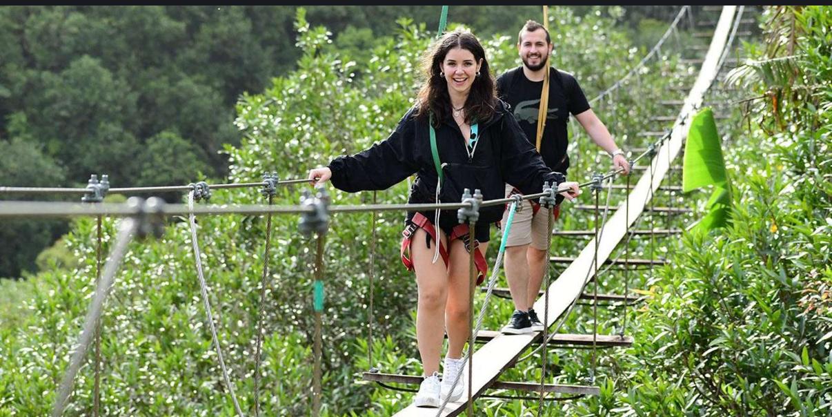 Group enjoying zipline and rope bridge activity in Mauritius